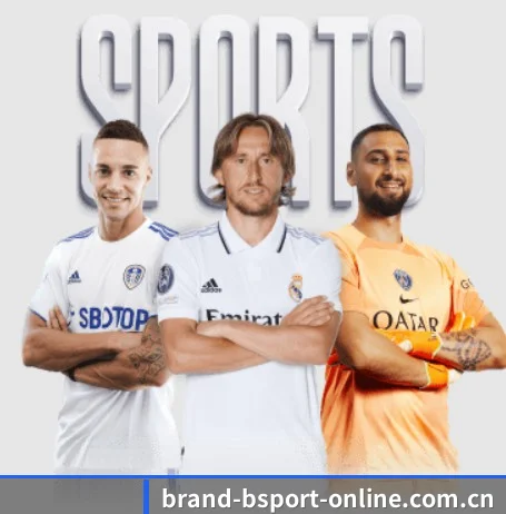 B体育登录 APP 界面(bsport)